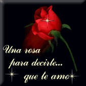 Spéciale Saint Valentin